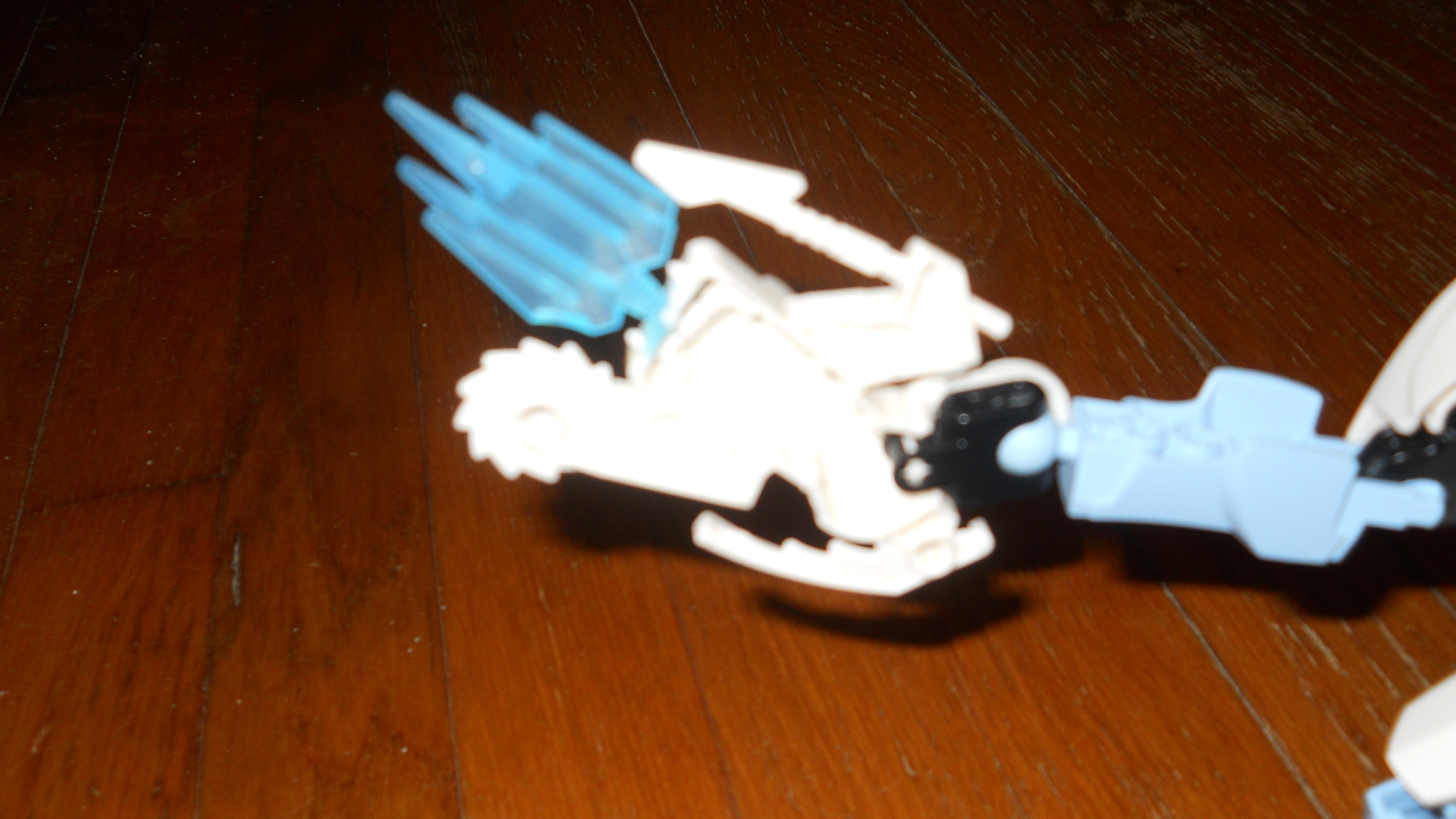 dscn0493.jpg