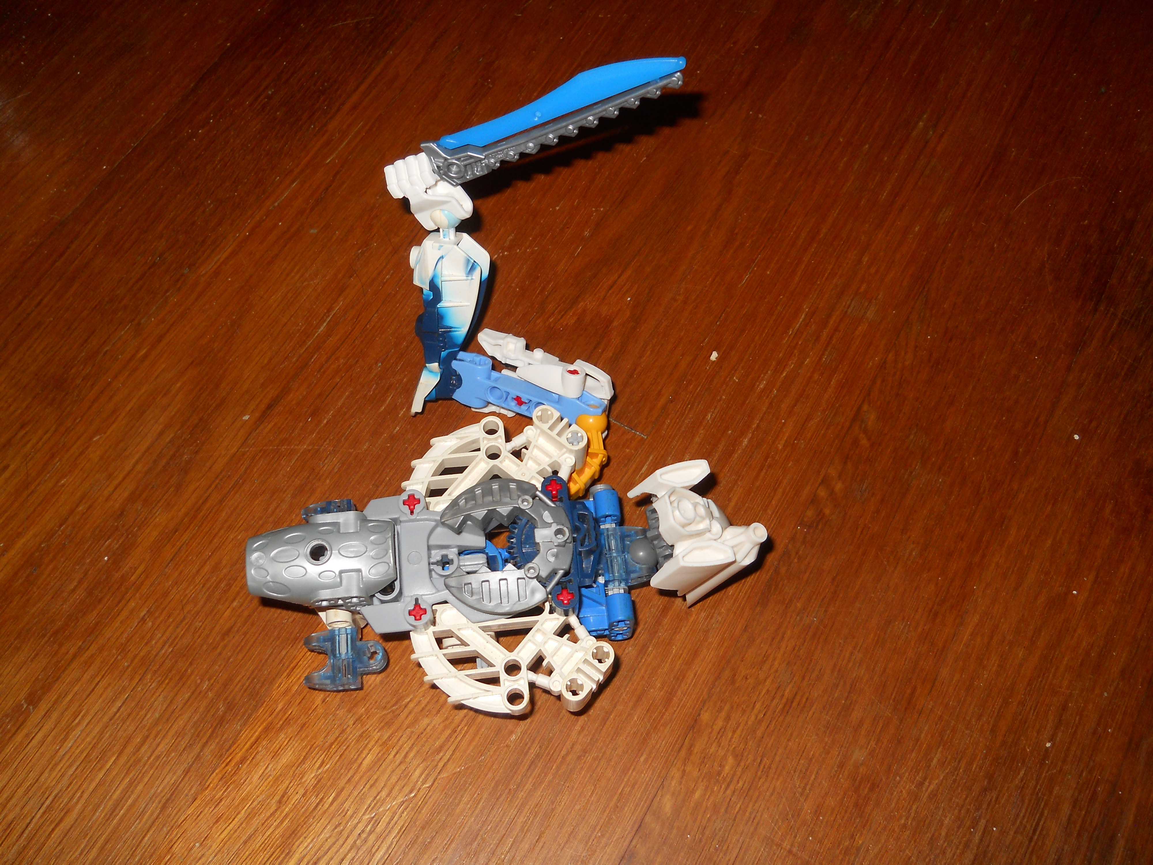 dscn1307.jpg