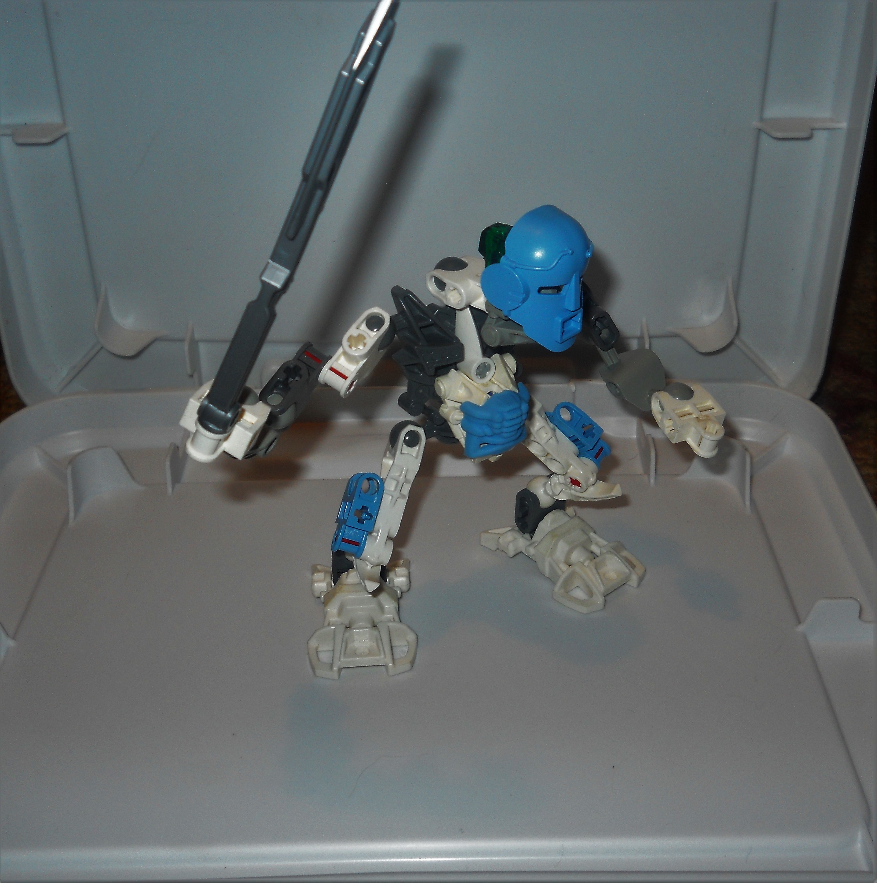 dscn0100a.jpg