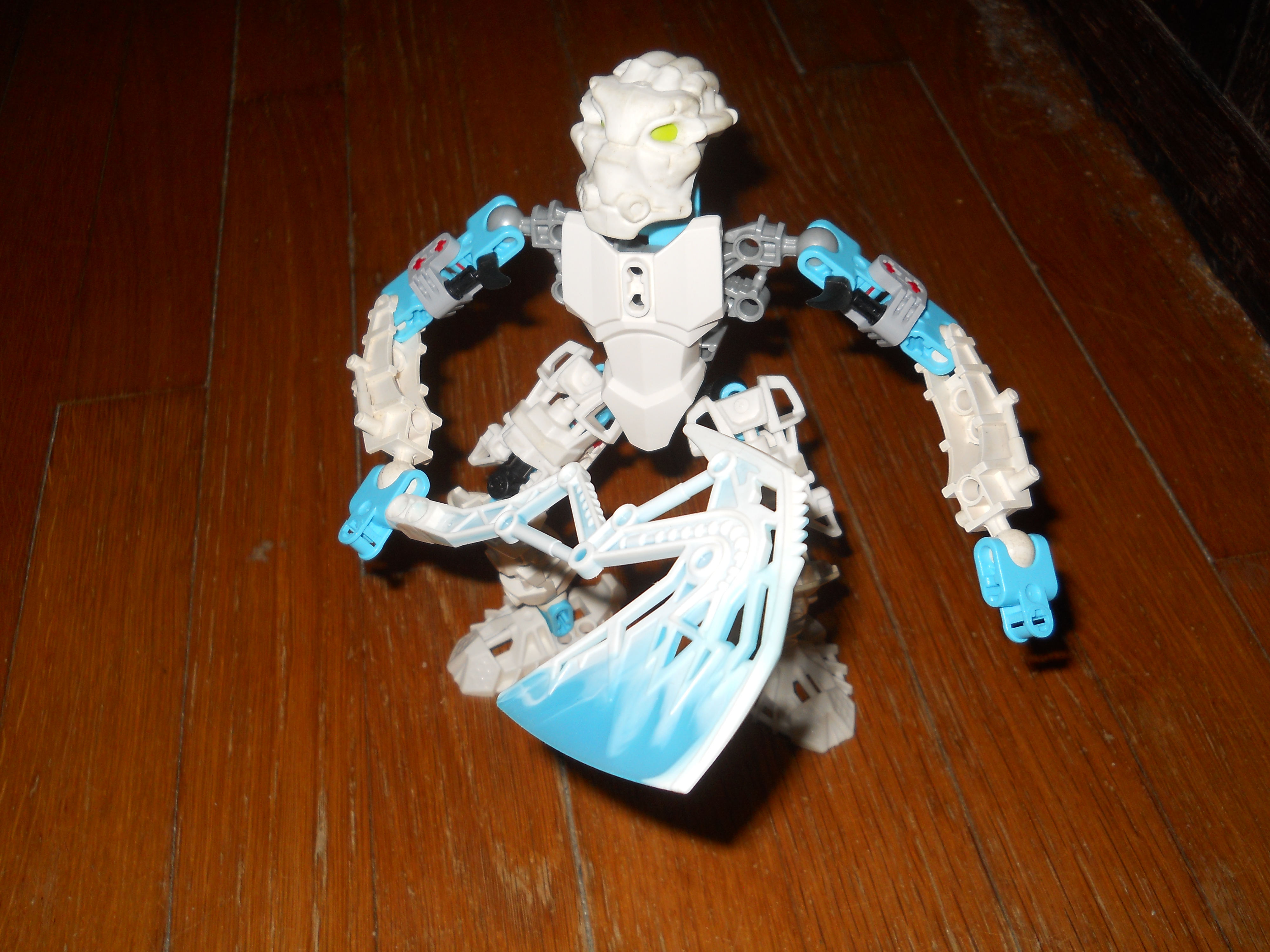 dscn0694.jpg