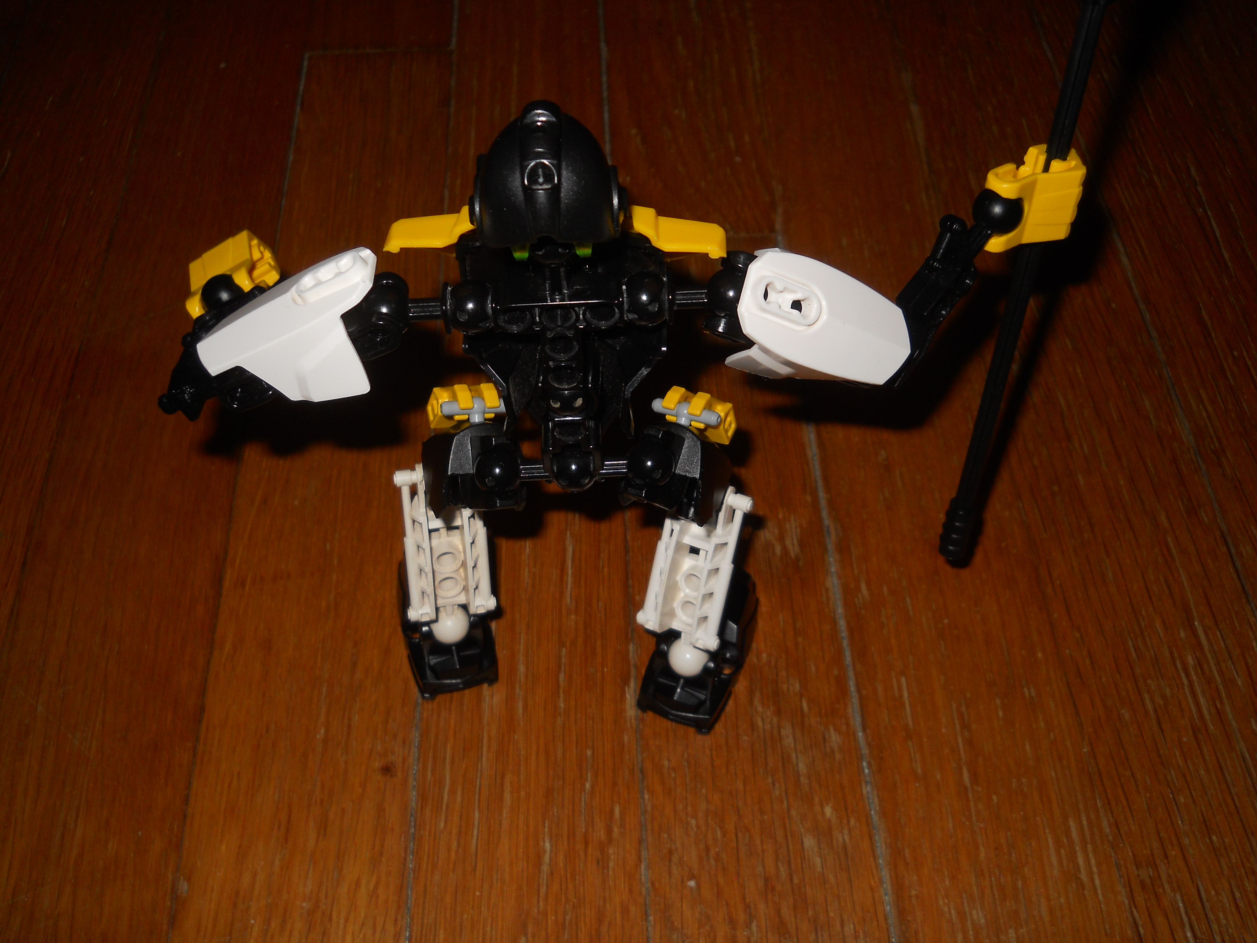 dscn0676.jpg