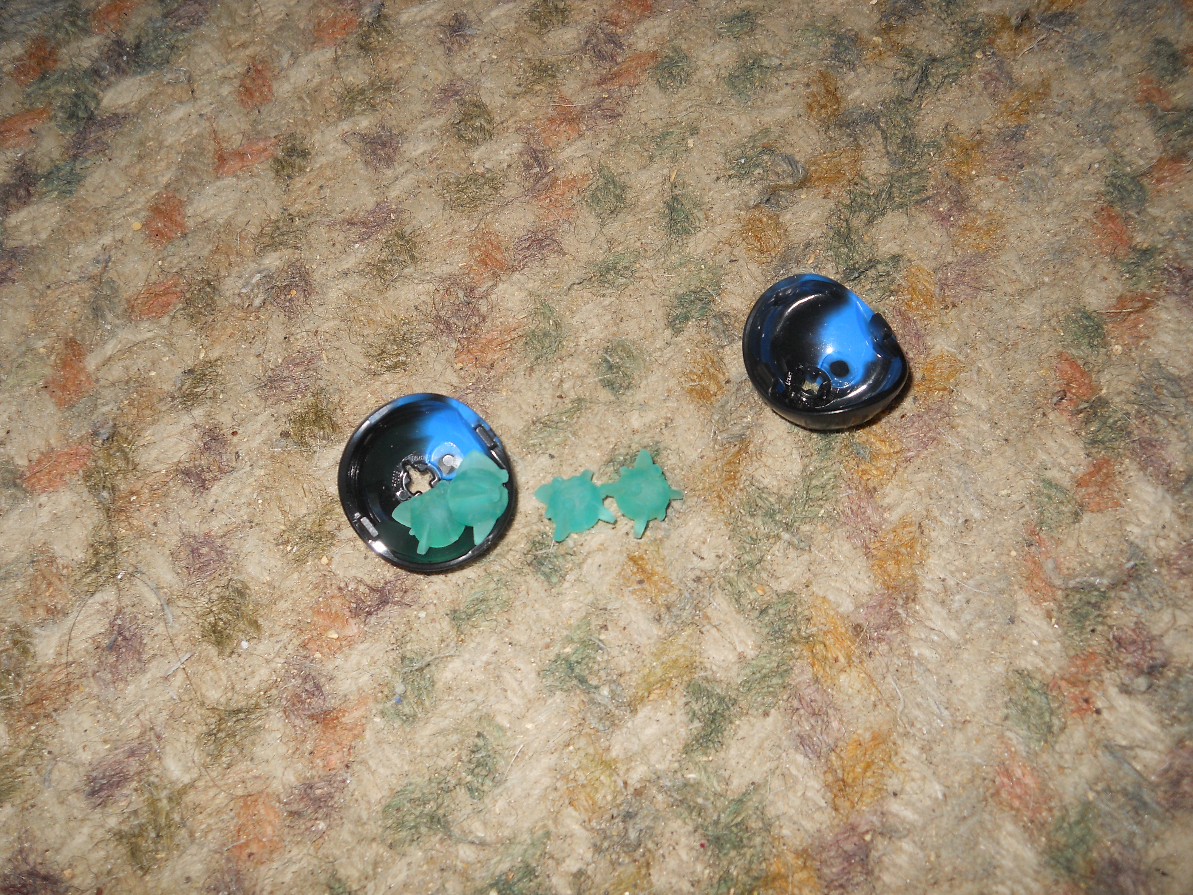 dscn0090.jpg