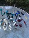 Toa-Nerzi