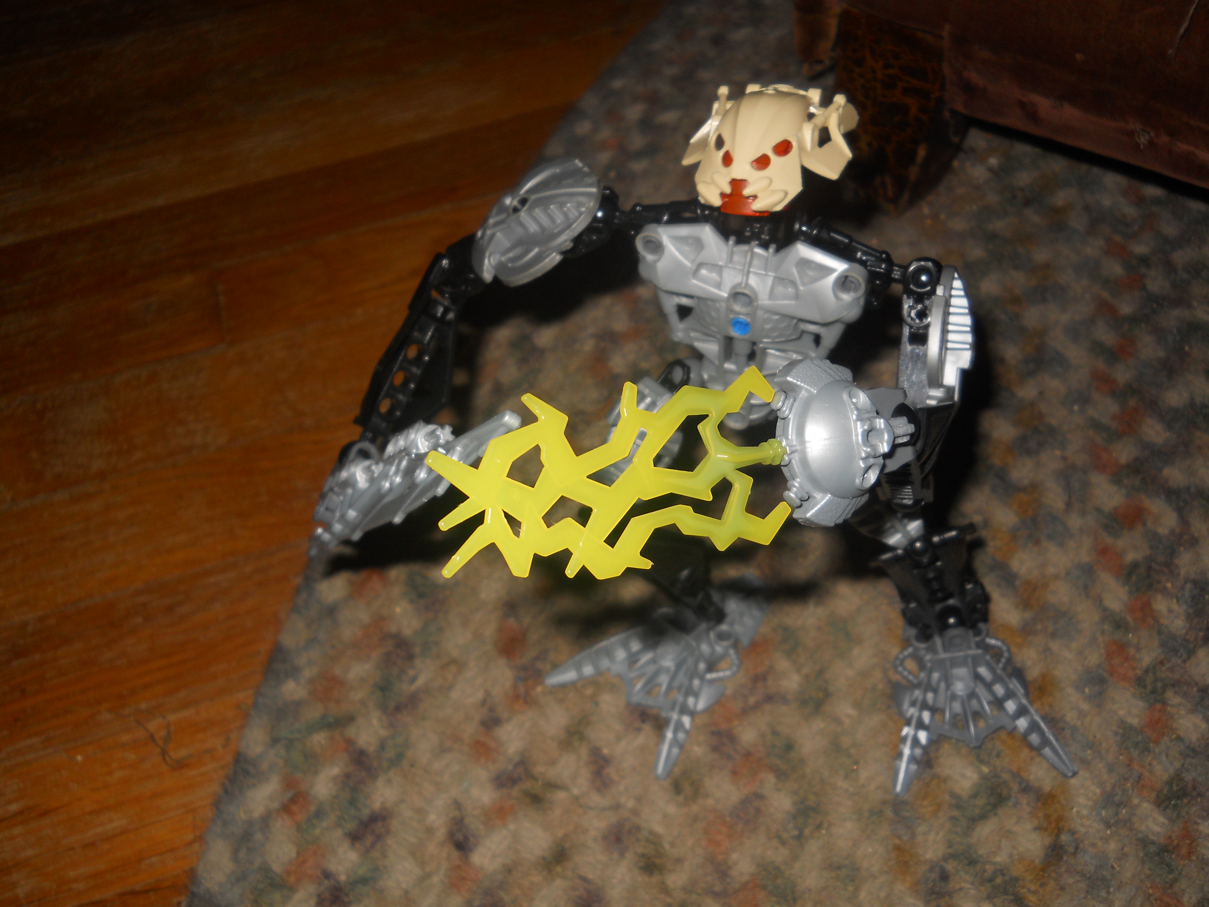 dscn0110.jpg