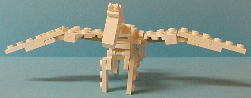 pegasus-06.jpg