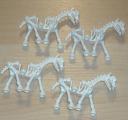 skeleton-horse.jpg
