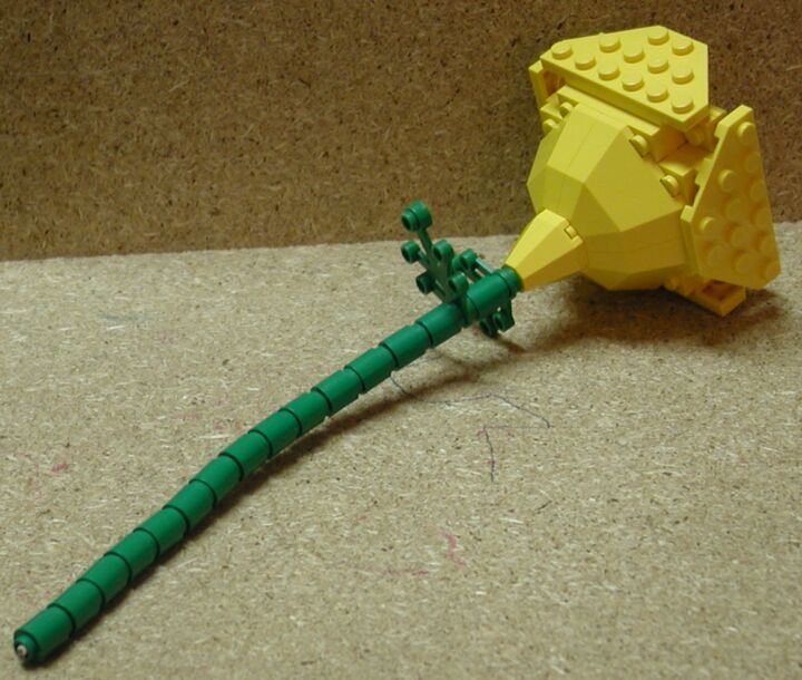 yellowrose01.jpg