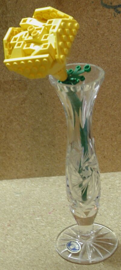 yellowrose02.jpg