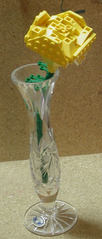 yellowrose03.jpg