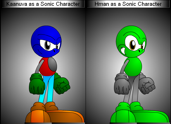 hmankaanuvasonicstyle.bmp