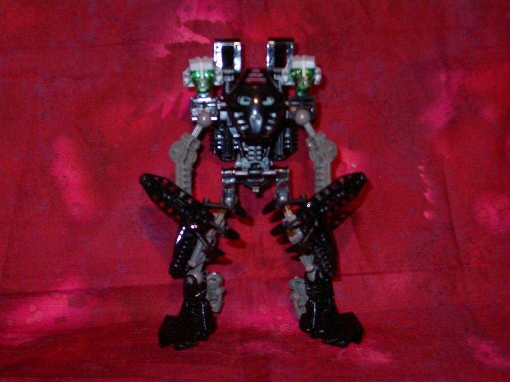 aao-front.jpg