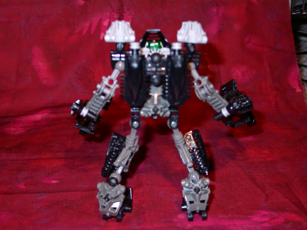 ao-back.jpg