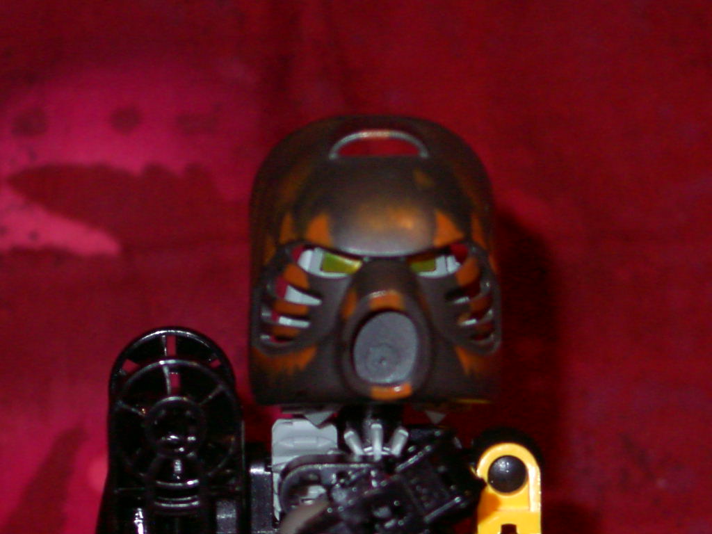 bwai-head.jpg