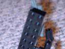 dfwai-ammobox..jpg