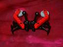 crab-back.jpg