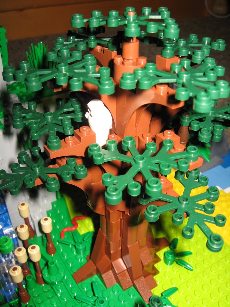 island07.jpg