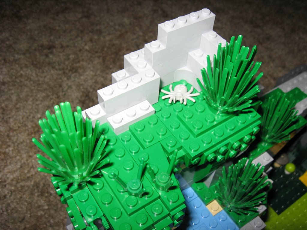 island11.jpg