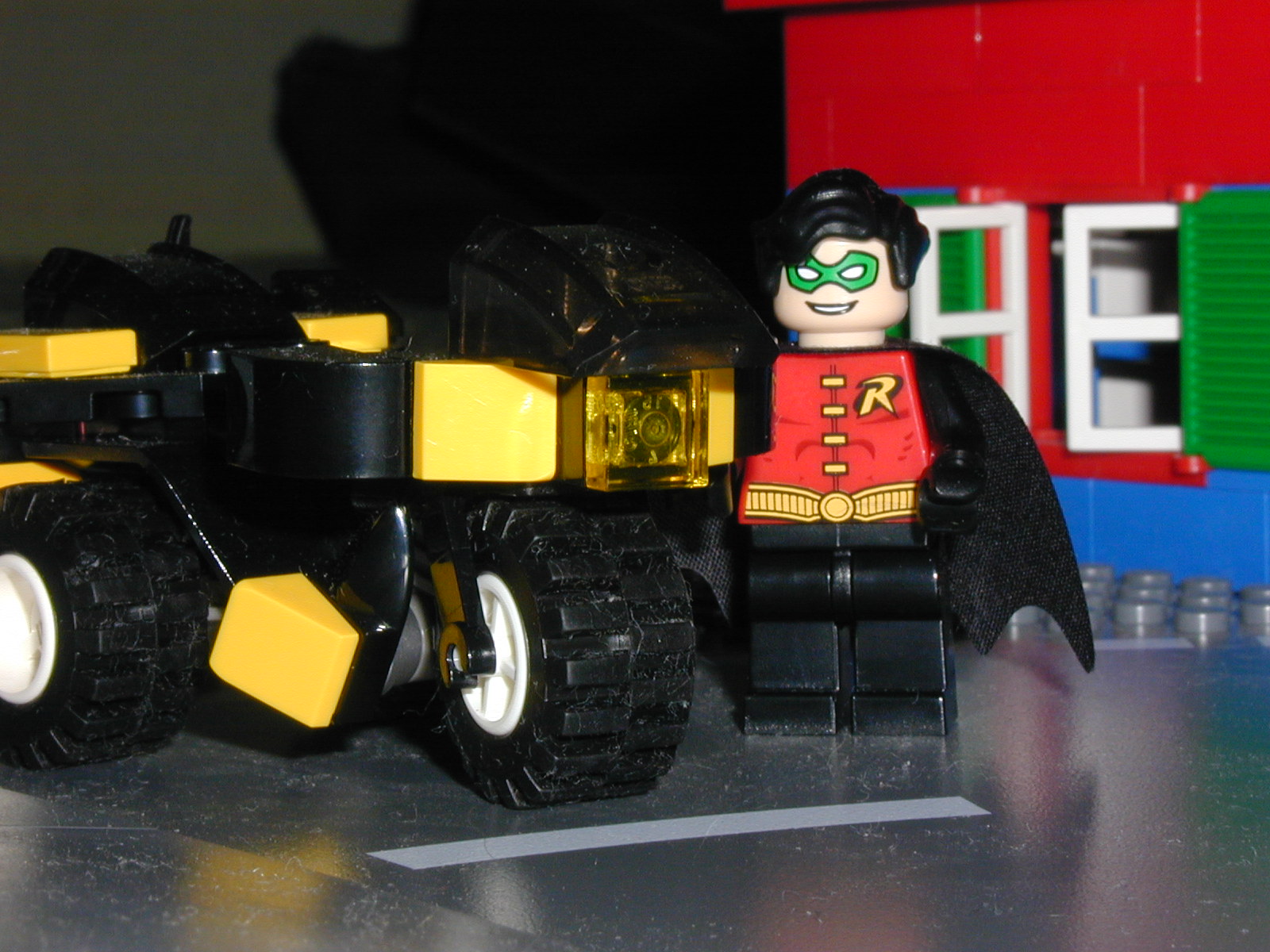 robin1.jpg