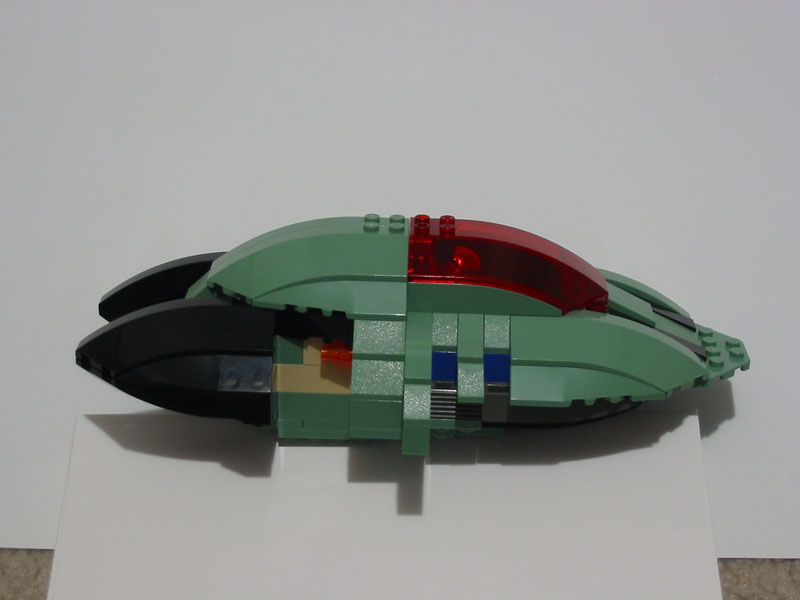 slipperytoad015.jpg