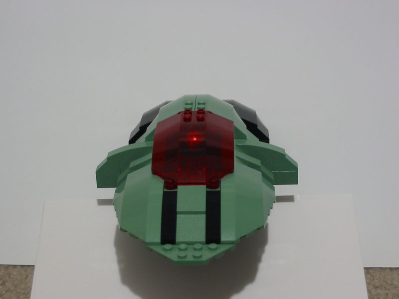 slipperytoad017.jpg