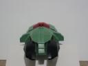 slipperytoad016.jpg