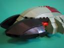 slipperytoad021.jpg