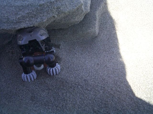 dcp08555.jpg