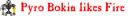 bokinbanner3.png