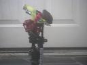 anuseph020.jpg