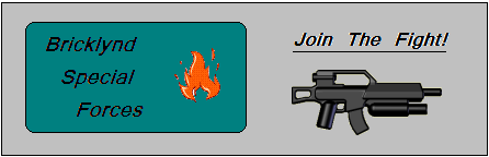 bricklynd_special_forces_1.bmp