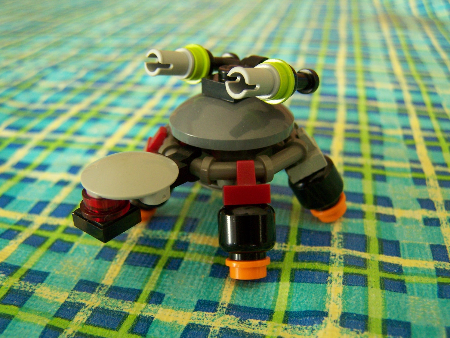 turtle_07.jpg