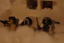 hoth_bunker_002.jpg