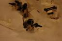 hoth_bunker_007.jpg