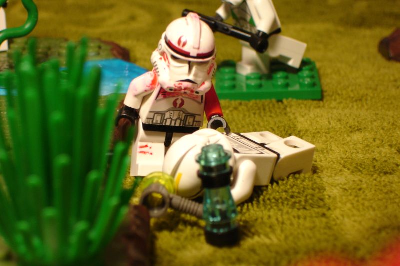 adv_kashyyyk_001.jpg