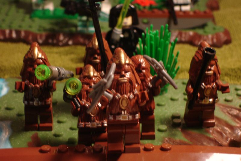 battle_of_kashyyyk_005.jpg