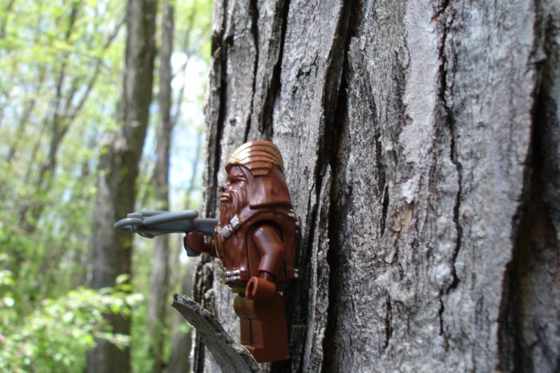 wookies_002.jpg
