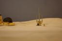 tatooinefarmers_004.jpg