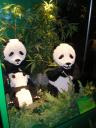 display_panda.jpg