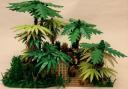 jungle_island_2.jpg