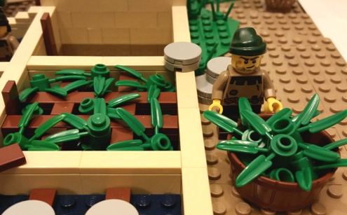 04_plants_into_pit.jpg