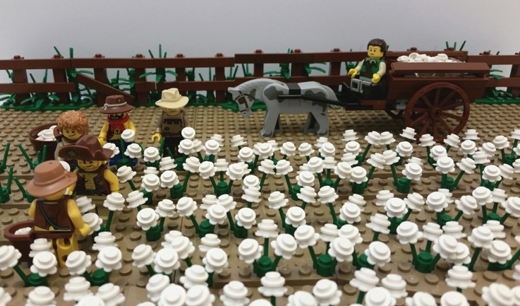 cottonplantation.jpg