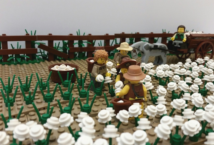pickers2.jpg