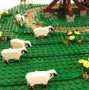 08sheep.jpg