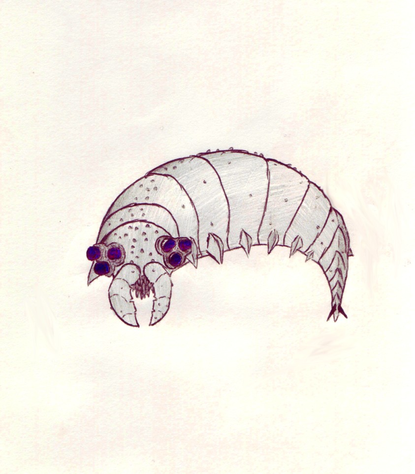 doodlemonsterlarva.jpg