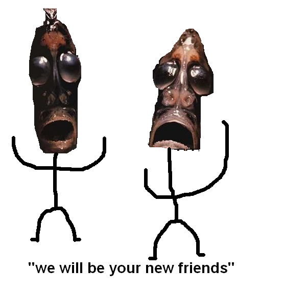 friends.png