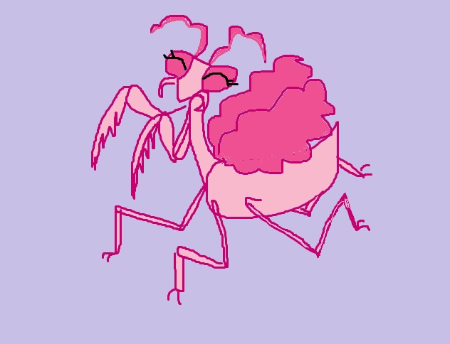 pinkmantis.jpg