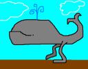 whalefeet.png
