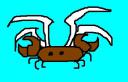 wingcrab.jpg