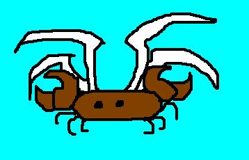 wingcrab.jpg