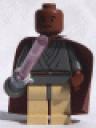 sw133.gif